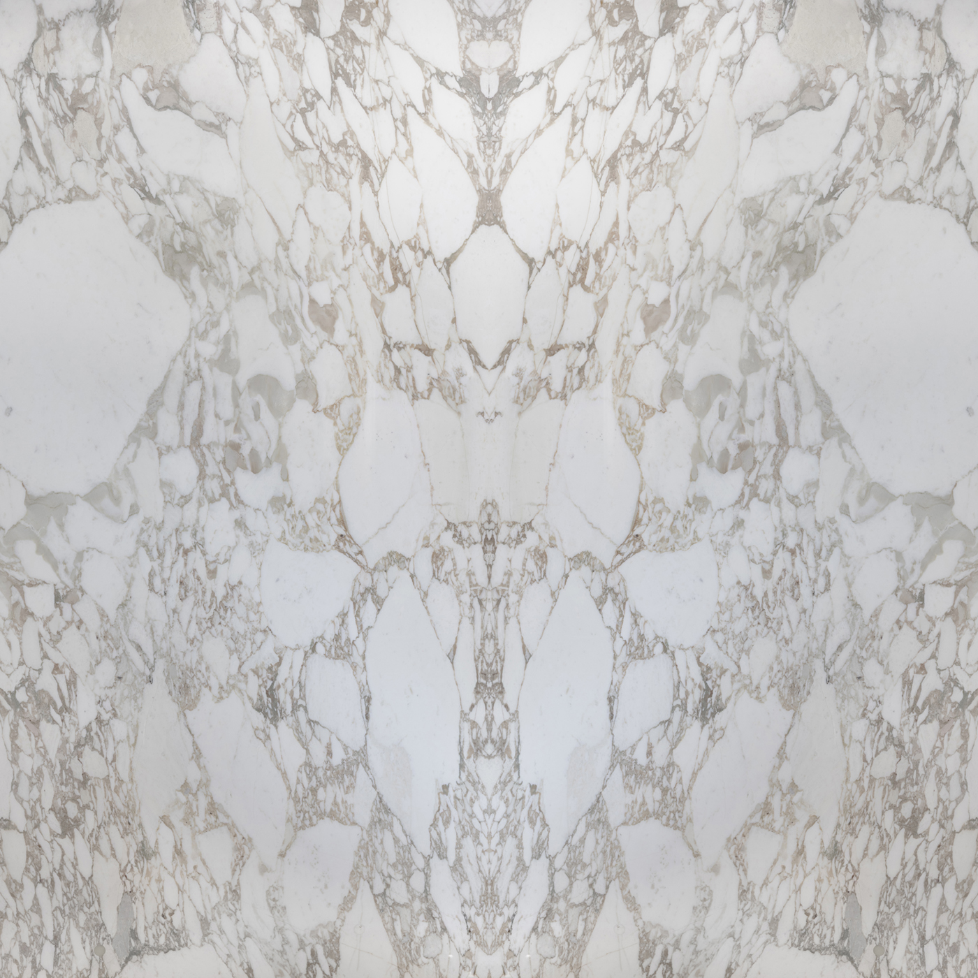 Calacatta Vagli Gold - Image 4