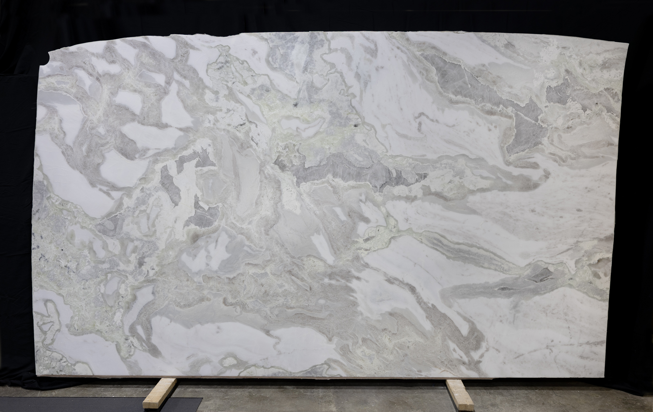 Oyster - Image 2