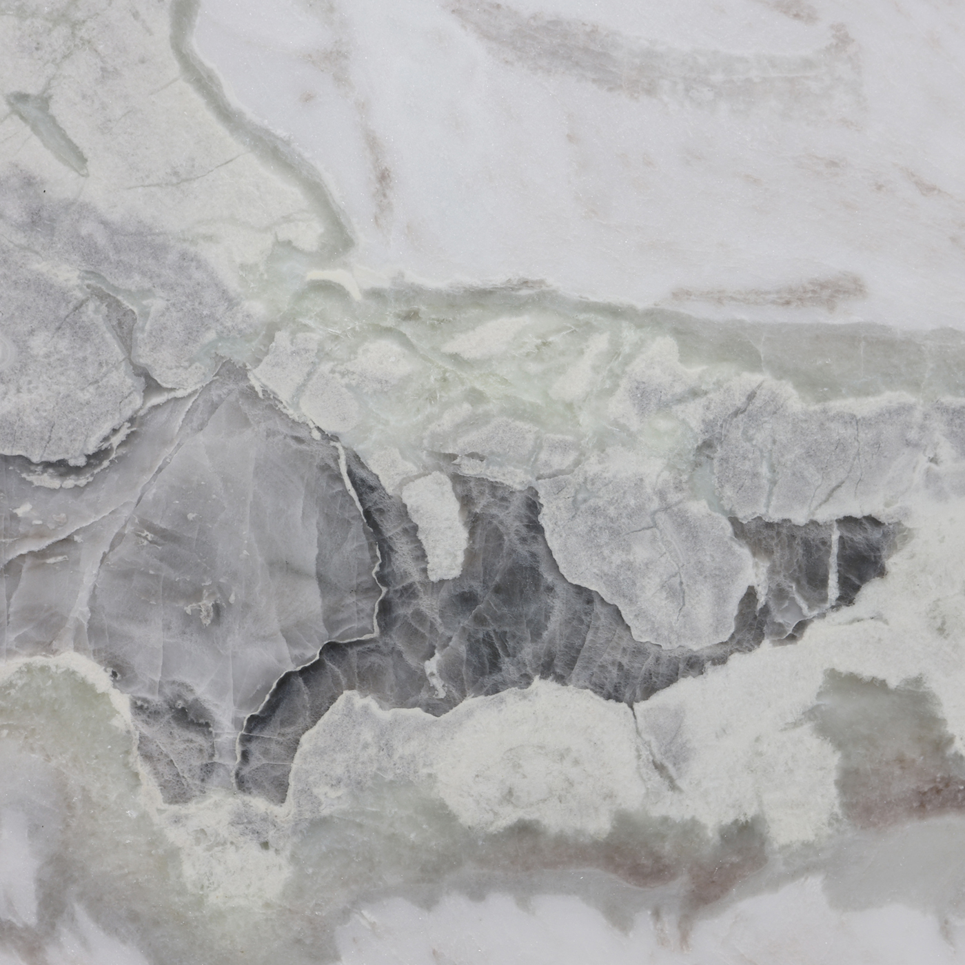 Oyster - Image 3