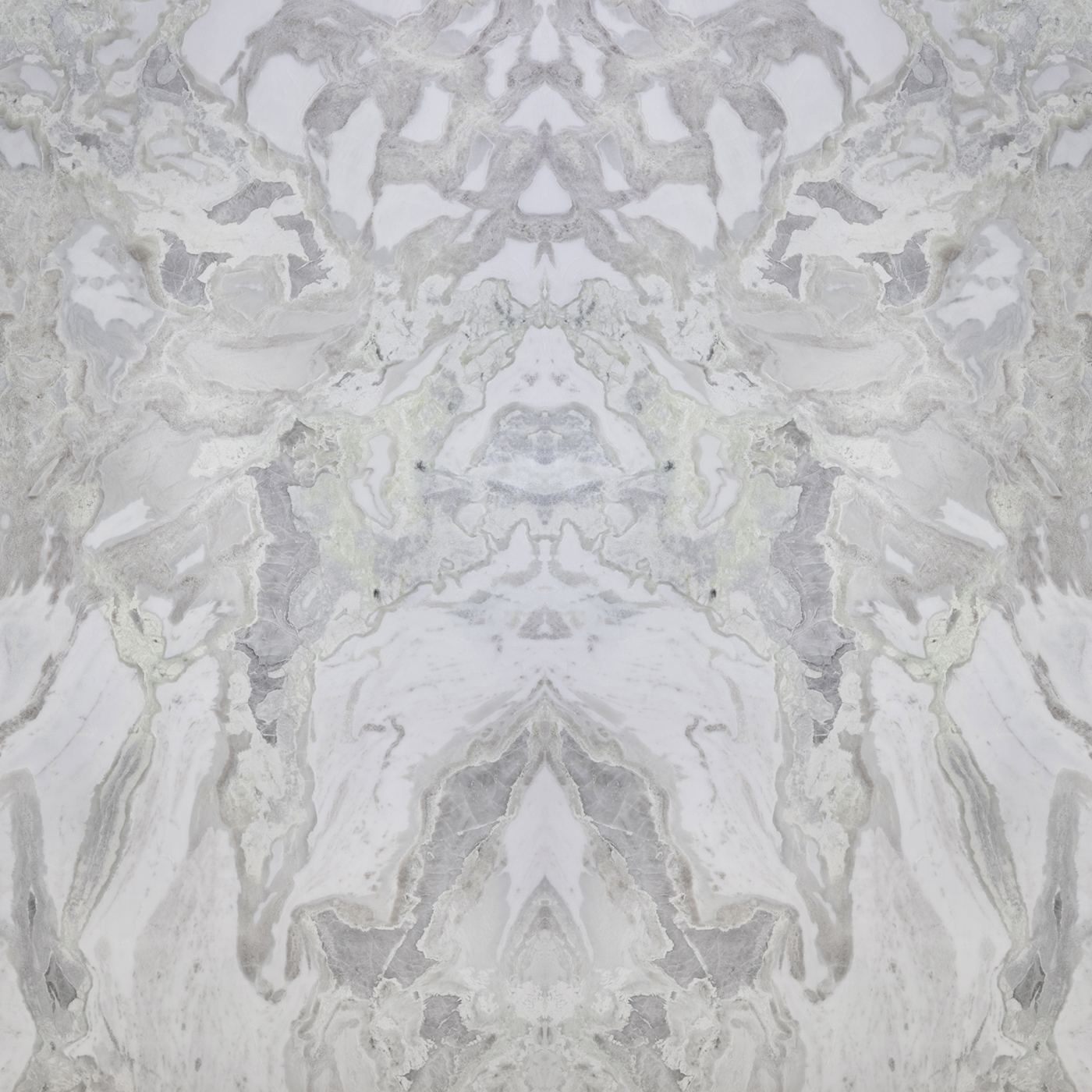 Oyster - Image 4