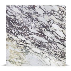 Marble Calacatta Viola HC